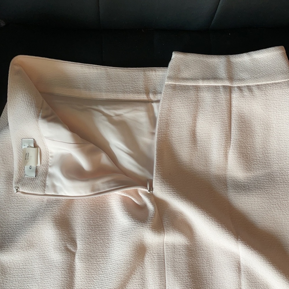 Pale pink Skirt - Picture 6 of 8